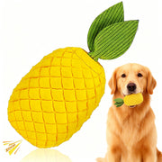 FurtasticFinds ananas face avant montrant forme robuste et attractivité