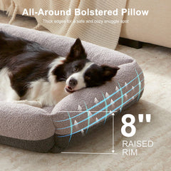 FURTIME gros plan sur tissu teddy doux offrant confort et chaleur au chien