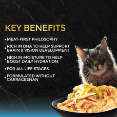 Fussie-Cat assiette servie à un chat, appétence et acceptation alimentaire