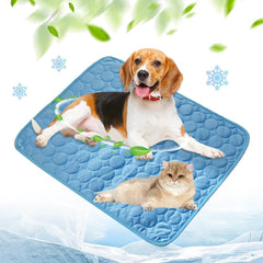 FVELPLT vue avant du tapis rafraîchissant montrant design et couleur