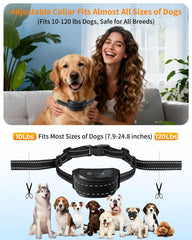 FWQEFVA détail des électrodes pour contact sûr et confort du chien
