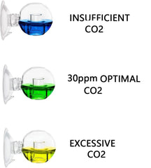 Gros plan sur la solution 4 dKH du FZONE révélant couleur précise pour ajustement CO2