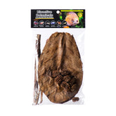Galapagos ensemble botanicals montrant cônes, feuilles et écorce pour décor naturel