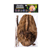Galapagos ensemble botanicals montrant cônes, feuilles et écorce pour décor naturel