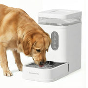 Gardner Pet distributeur face avant montrant capacité 6,5 L et design compact