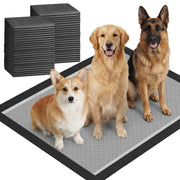 Gardner Pet face avant du tapis montrant l'emballage et les avantages pratiques