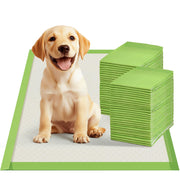 Gardner Pet vue avant du tapis protégeant sol avec absorption rapide