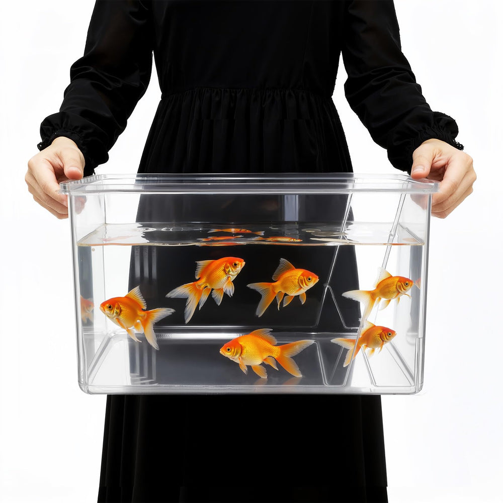 Geelin aquarium carré face avant montrant transparence et esthétique
