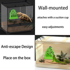 Generic bol dans terrarium avec reptile encourage activité et chasse