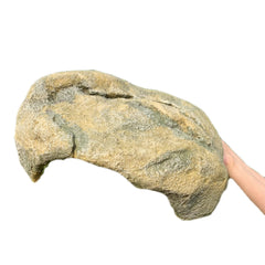 Generic gros plan texture résine rappelant rocher naturel, attirant l'animal