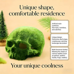 Generic crâne mousseux gros plan sur la texture de résine imitant la mousse pour réalisme