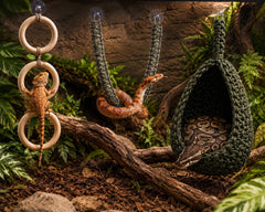 generic kit complet installé dans terrarium illustrant enrichissement