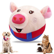 Generic vue avant du jouet montrant la peluche et la balle, sécurité pour chien