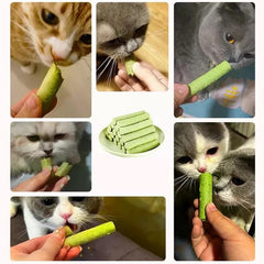 Generic bâtonnet émietté sur pâtée pour appâter chats difficiles bénéfique