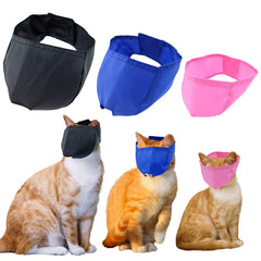 Generic muselière chat ensemble packaging montrant trois couleurs et protection