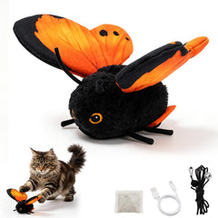 Generic papillon avant packaging montrant le design orange et attractif