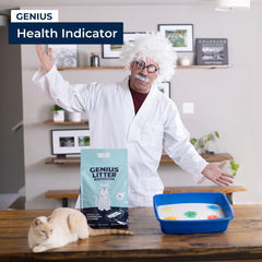 Genius Litter dans bac montrant usage quotidien propre et simple