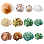 Giftvest coquilles face avant montrant variété et attractivité décorative