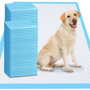 Gimars emballage avant montrant format 36x36 et 45 unités pour gain de temps