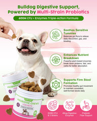 GJYC PET gros plan sur texture du chew pour appétence et facilité d'ingestion