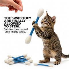 Glaciart One chat jouant avec Swab favorisant exercice et amusement