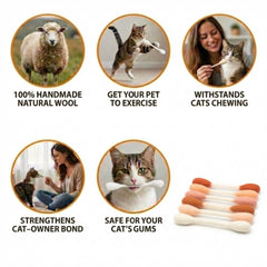 Glaciart One chat jouant au sol, favorisant exercice et stimulation