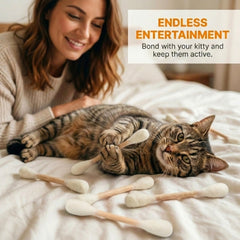 Glaciart One chat en train de chasser le bâtonnet stimulant l'exercice