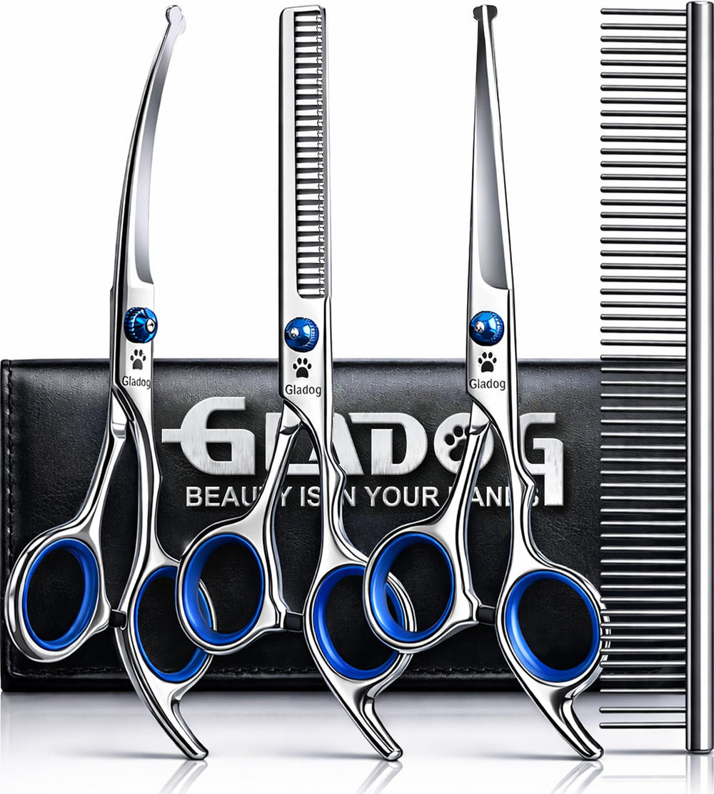 GLADOG packaging avant montrant l’ensemble du kit et ses accessoires pratiques
