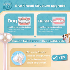 Gluckelk brosse utilisée sur chiot montrant un brossage doux et maîtrisé