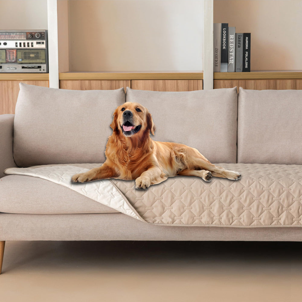 gogobunny housse canapé face avant montrant protection et esthétique