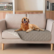 gogobunny housse face avant montrant protection et design élégant