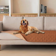 gogobunny housse canapé vue face protège le mobilier et améliore le confort