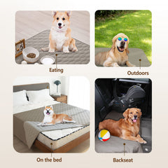 gogobunny couverture en usage avec chien confort et protection des meubles