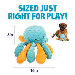 goDog octopus chien tirant sur un bras montrant stimulation et interaction