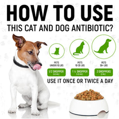 Golden Paw administration avec seringue, pratique pour animaux difficiles