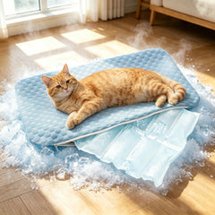 GOLOPET tapis devant emballage montrant produit et couleur bleue, confort immédiat