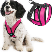 Gooby harnais Comfort X vue avant montrant l'ajustement et le design coloré