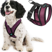 Gooby harnais Comfort X vue avant montrant l'ajustement confortable