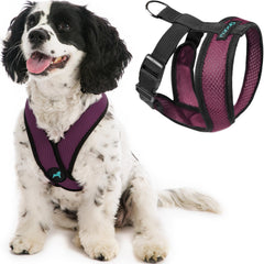 Gooby harnais Comfort X vue avant montrant l'ajustement confortable