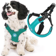 Gooby harnais face turquoise montrant coupe ajustée et confort