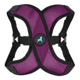Gooby harnais vue face montrant coupe en X et confort