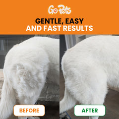 GoPets gros plan sur picots montrant précision et confort