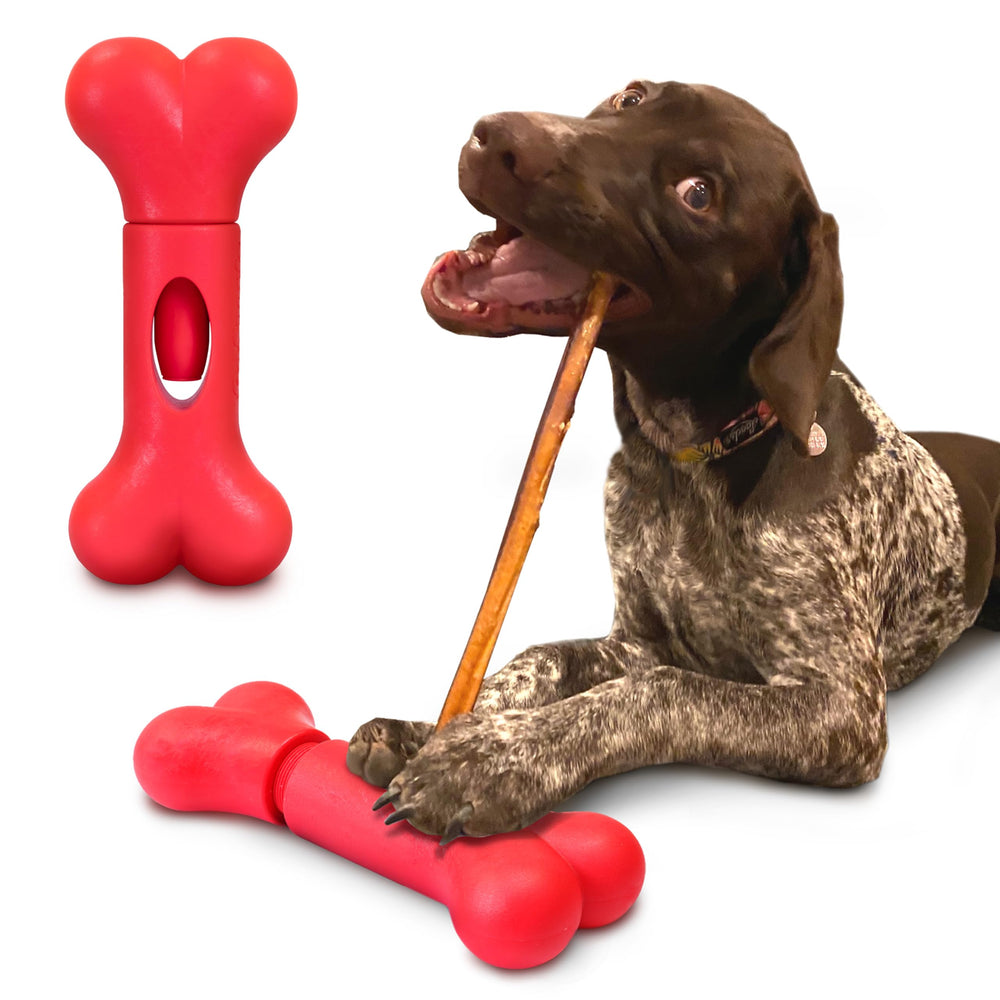 GoSports Chew Champ face avant montrant le design et le mécanisme, sécurité accrue