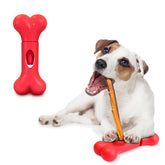 GoSports Chew Champ face avant montrant fixation sûre