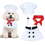 GOYOSWA costume chef chien face montrant tenue complète et impact visuel
