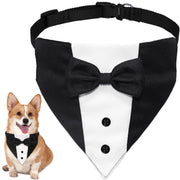 GOYOSWA tuxedo face porté par chien, look élégant instantané