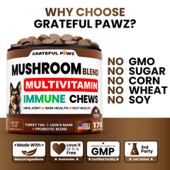 Grateful Pawz ingrédients champignons Turkey Tail Reishi Lion’s Mane, soutien nutritif naturel