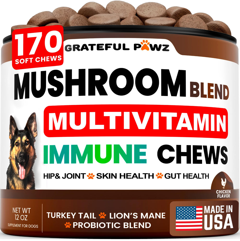 Grateful Pawz pot avant offrant 170 mastics multivitamines pour chien, praticité