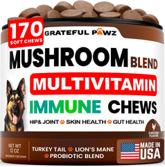 Grateful Pawz pot avant offrant 170 mastics multivitamines pour chien, praticité