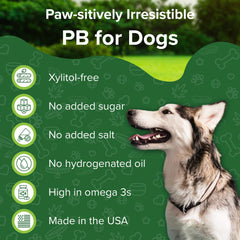 Green Coast Pet gros plan sur la texture riche, stimule l'intérêt du chien
